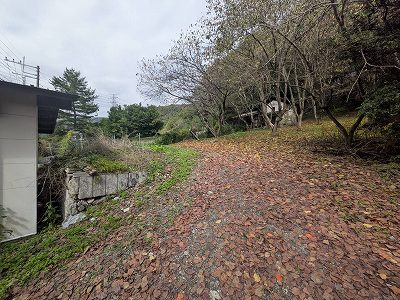 現地北側緩斜面